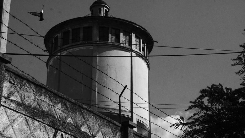 кадр из фильма Echo Sonata