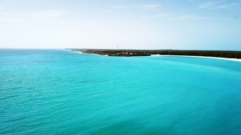 кадр из фильма FYRE: Величайшая вечеринка, которая не состоялась