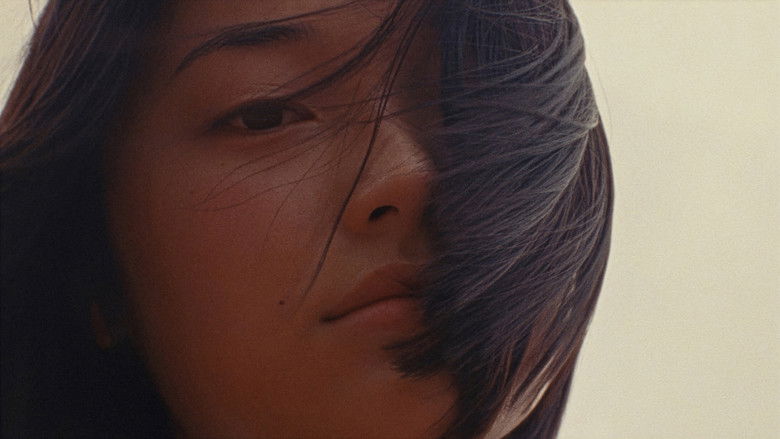 кадр из фильма zi