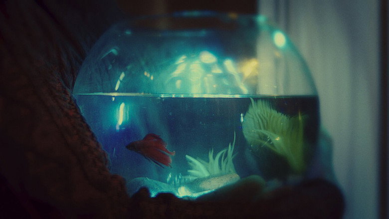 кадр из фильма Betta
