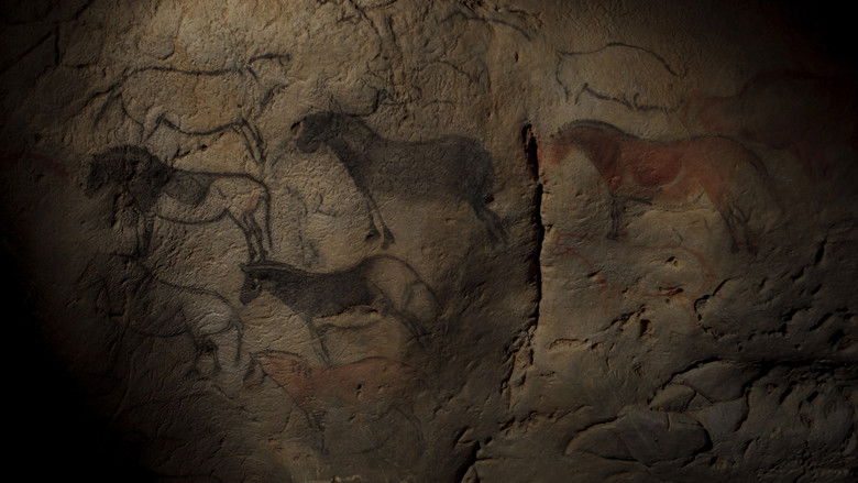 кадр из фильма Ouro e Oásis