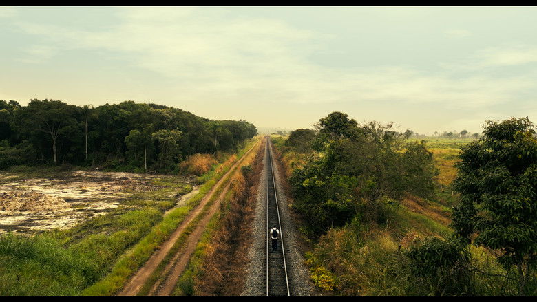 кадр из фильма Eu te Espero