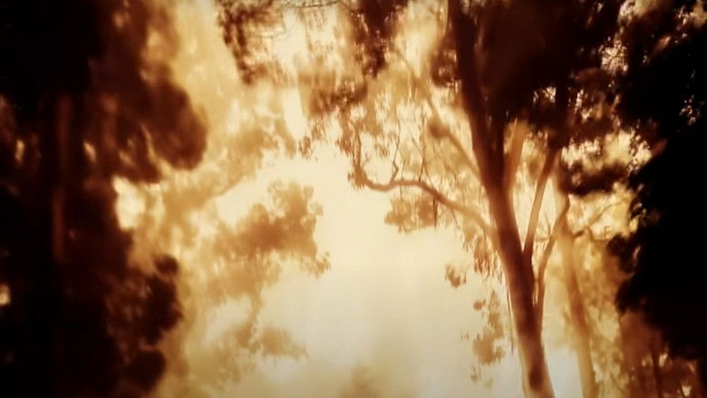 кадр из фильма Snowglobe