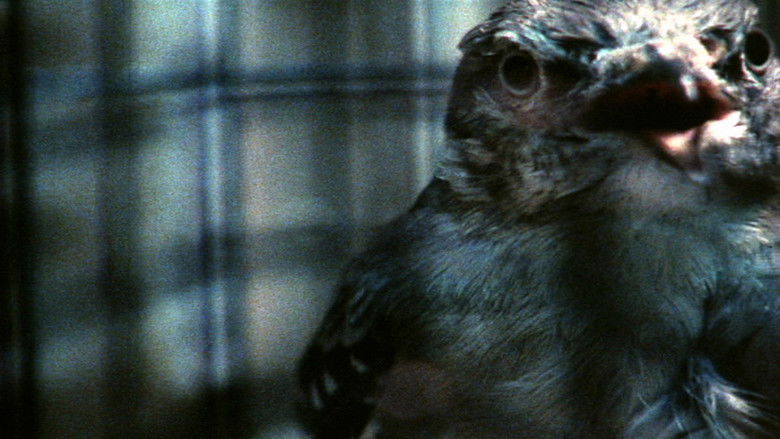 кадр из фильма O'er the Land