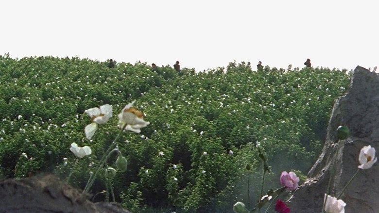 кадр из фильма Человек с дробовиком