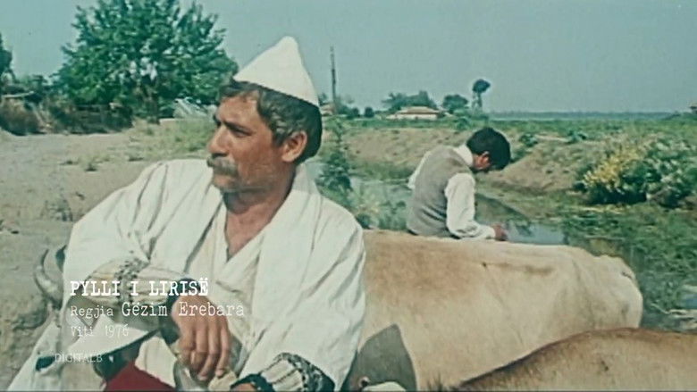 кадр из фильма Pylli i lirisë