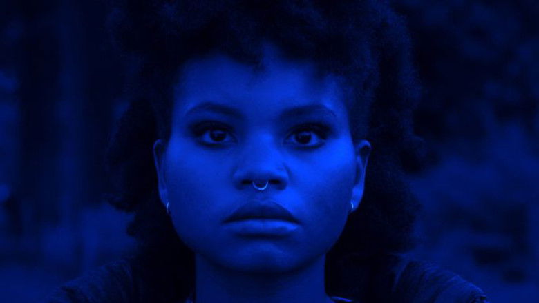 кадр из фильма Forget All You Know (About Aliens)