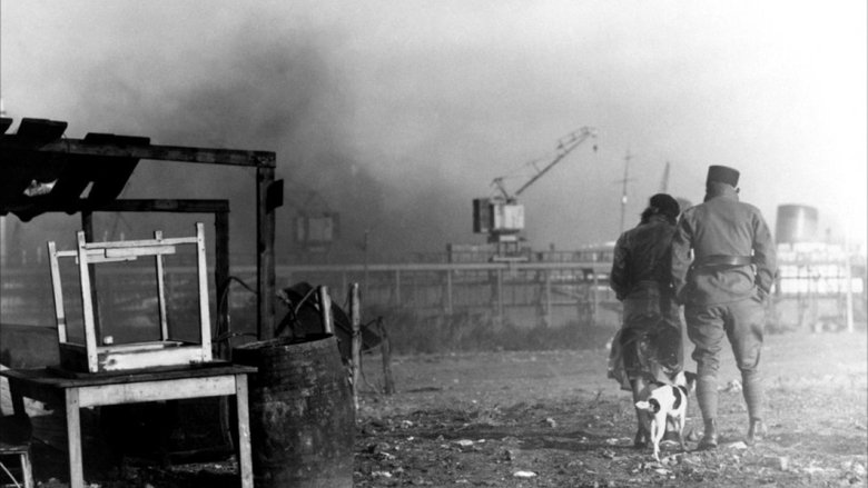 кадр из фильма Набережная туманов