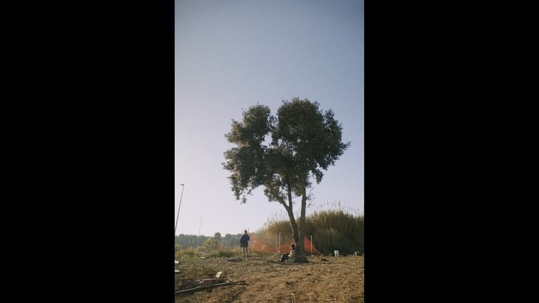 кадр из фильма El crit sord dels arbres
