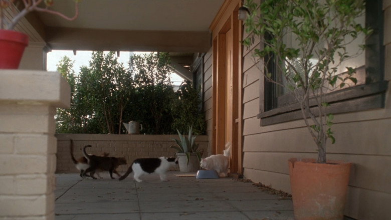 кадр из фильма Поэтичная Джастис