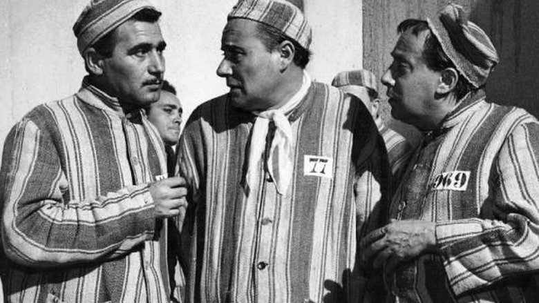 кадр из фильма Accadde al Penitenziario