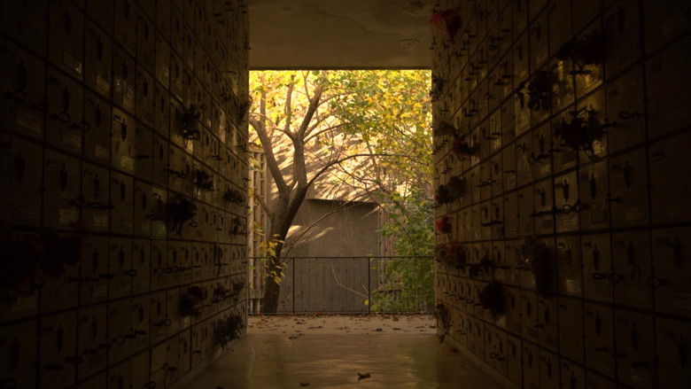 кадр из фильма Santuario