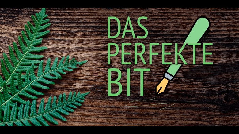 кадр из фильма Das perfekte Bit