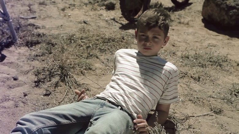 кадр из фильма Dotty