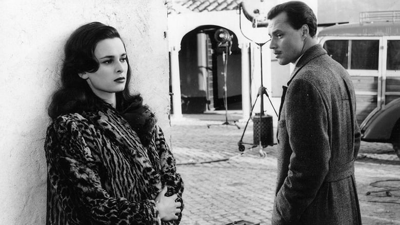 кадр из фильма Дама без камелий