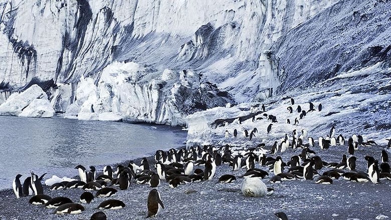 кадр из фильма Antarktika - Die gefrorene Zeit