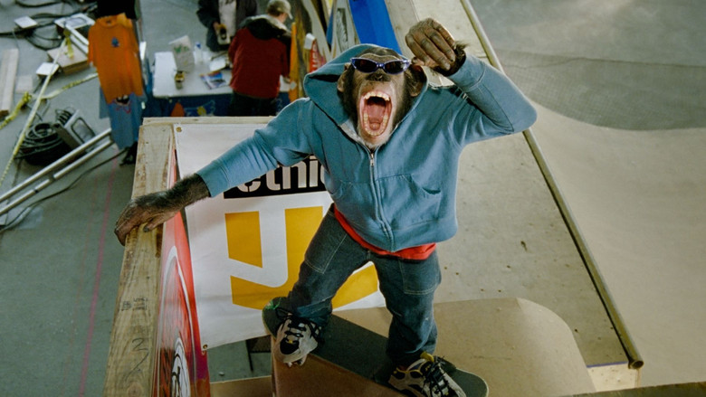 кадр из фильма MVP 2: Most Vertical Primate