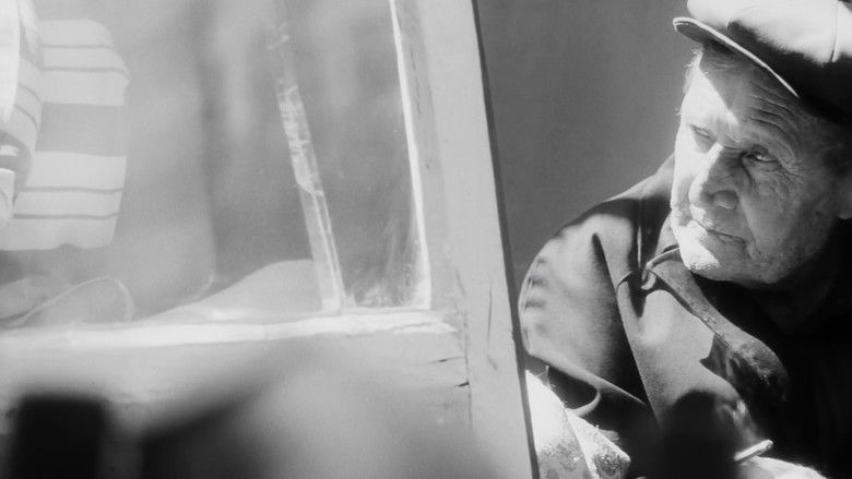 кадр из фильма Сни в місті