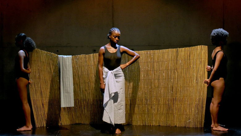 кадр из фильма Rosinha e Outros Bichos do Mato