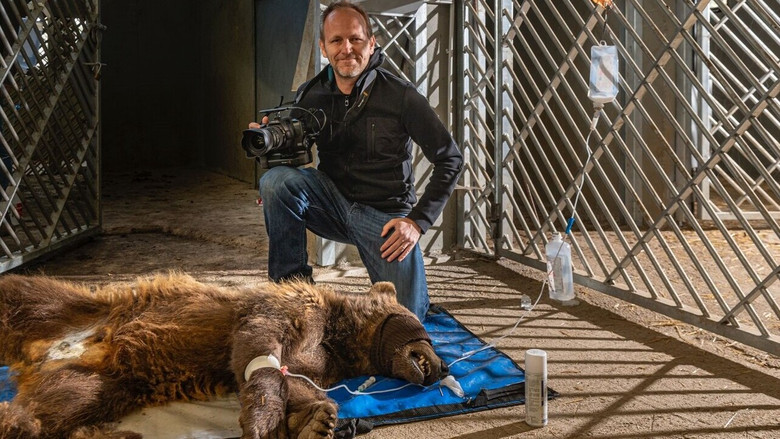 кадр из фильма L’últim viatge