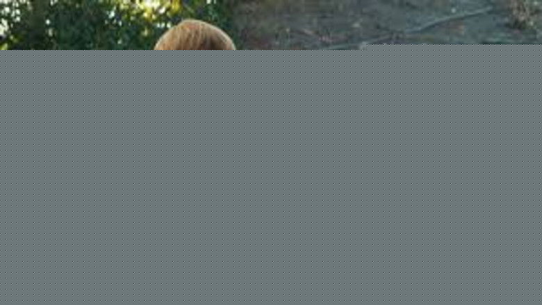 кадр из фильма Холоп