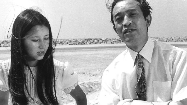 кадр из фильма 夏の妹