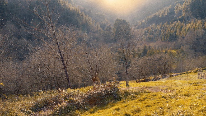 кадр из фильма O Baleiro