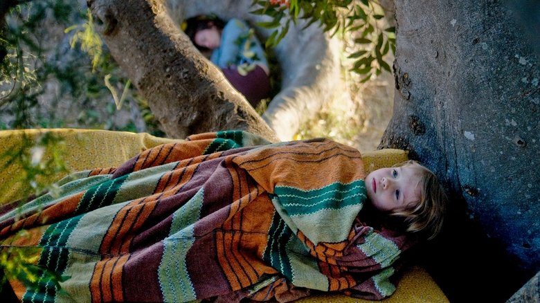 кадр из фильма Дерево