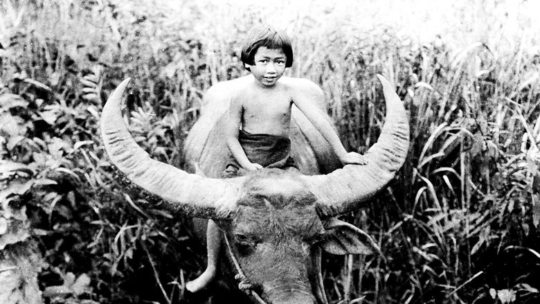 Чанг: Драма в глуши