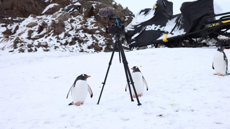 кадр из фильма Антарктида
