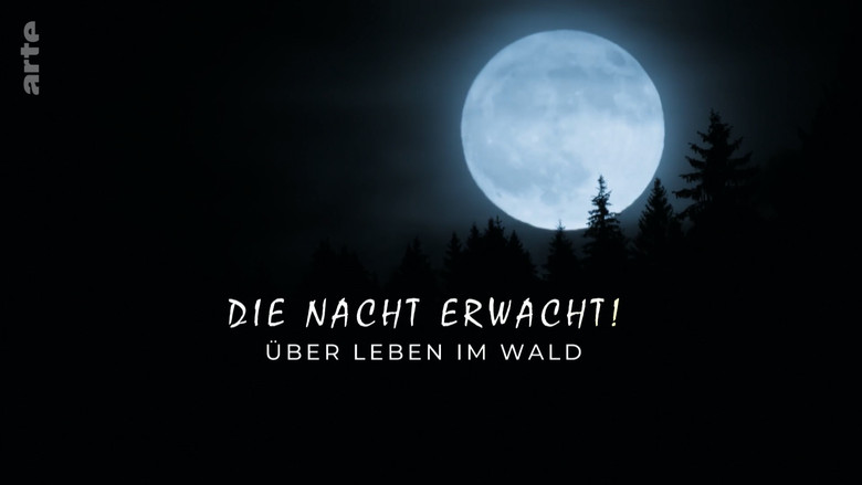 кадр из фильма Die Nacht erwacht! Über Leben im Wald