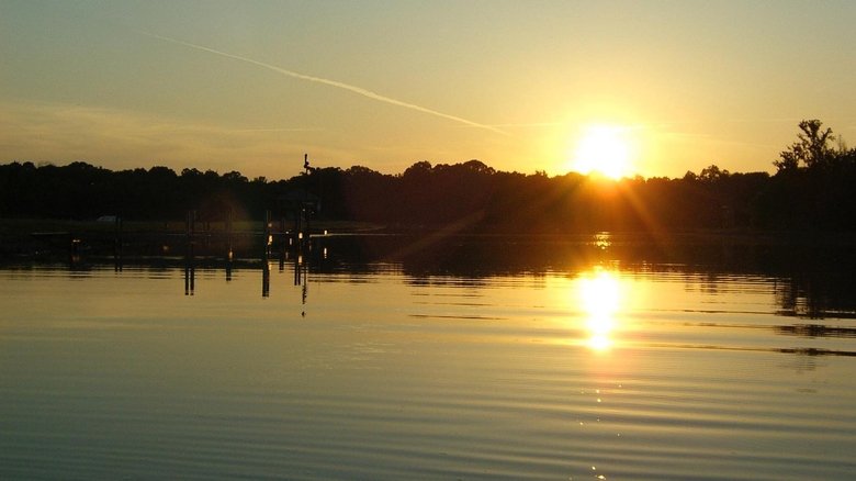 кадр из фильма Gifted