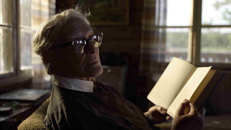 кадр из фильма The Summer Book