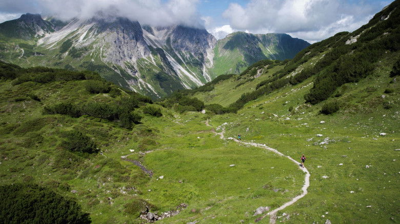 кадр из фильма Running Via Alpina