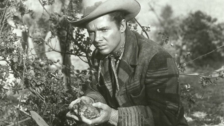 кадр из фильма Перекати-поле