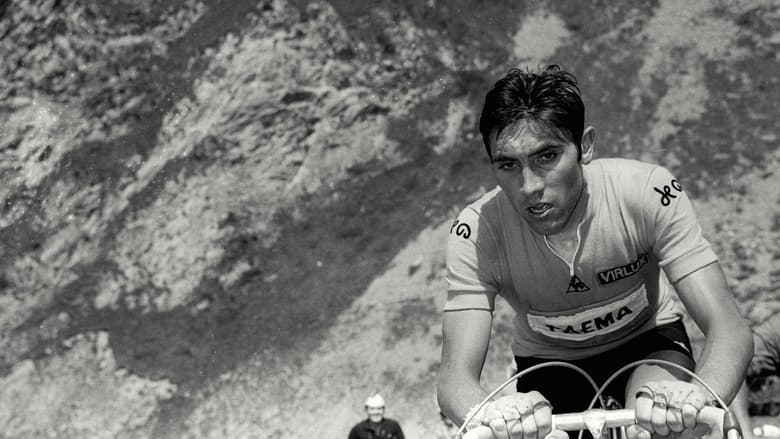 кадр из фильма 1969 - Following Merckx