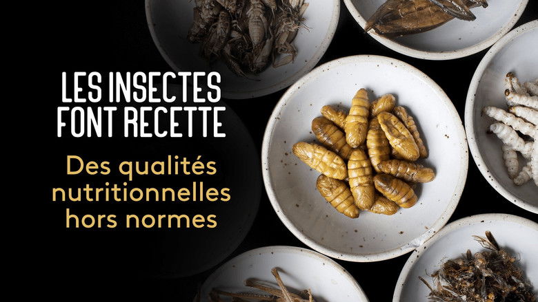 кадр из фильма Les insectes font recette