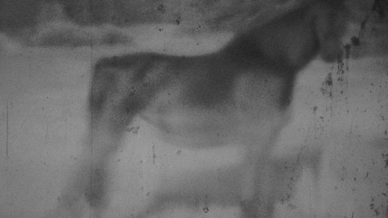 кадр из фильма Darkness