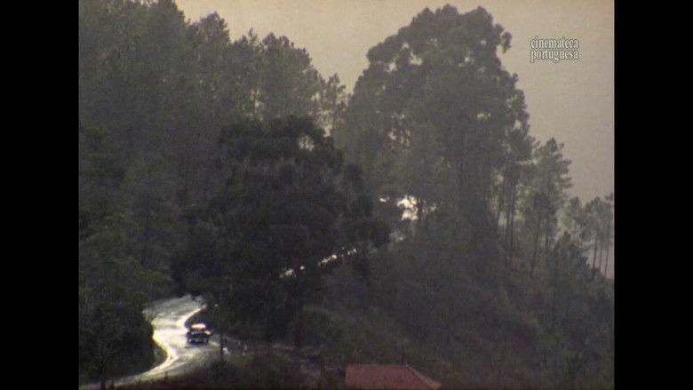 кадр из фильма Relação Fiel e Verdadeira