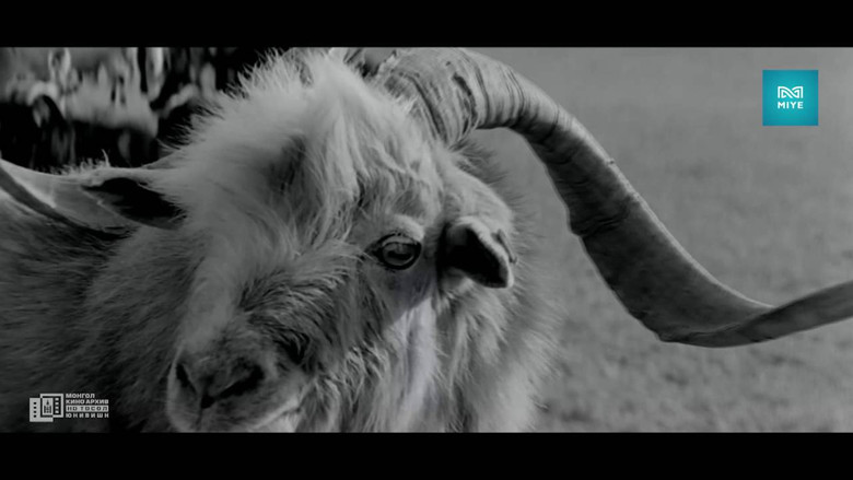 кадр из фильма Моторын дуу