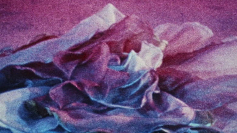 кадр из фильма Pink Narcissus