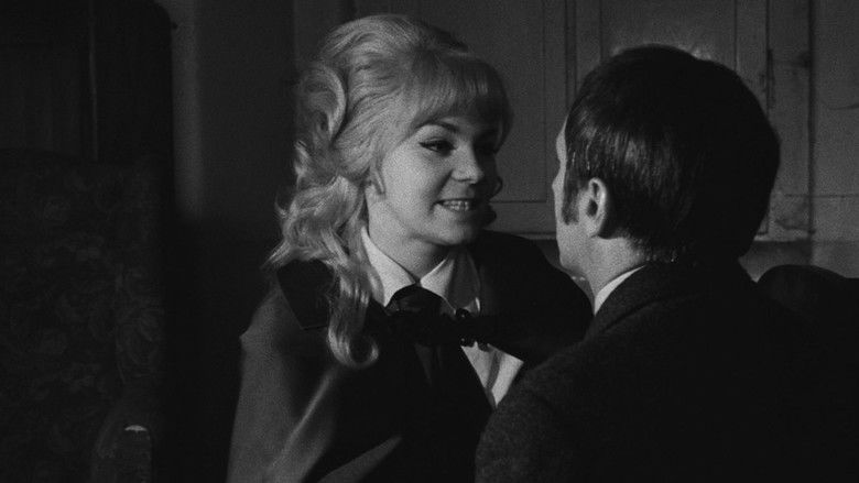 кадр из фильма Případ pro začínajícího kata