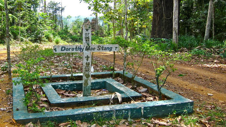 кадр из фильма They Killed Sister Dorothy