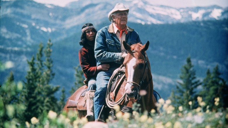 кадр из фильма Mustang Country