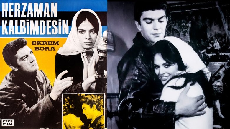 кадр из фильма Her Zaman Kalbimdesin