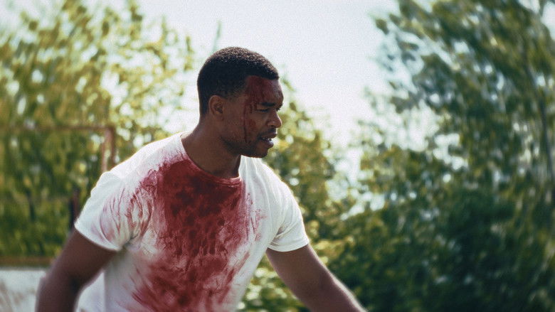 кадр из фильма Brim