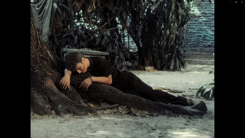 кадр из фильма Também Se Chamavam Sonhos