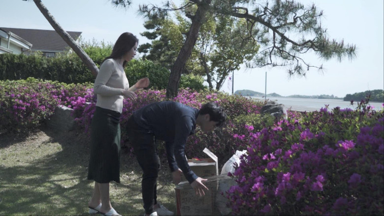 кадр из фильма 작은 엄마