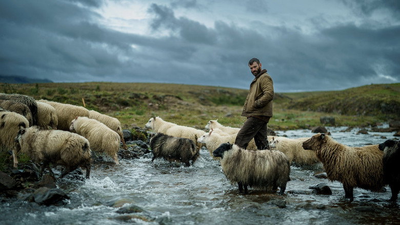 кадр из фильма The Last Photograph