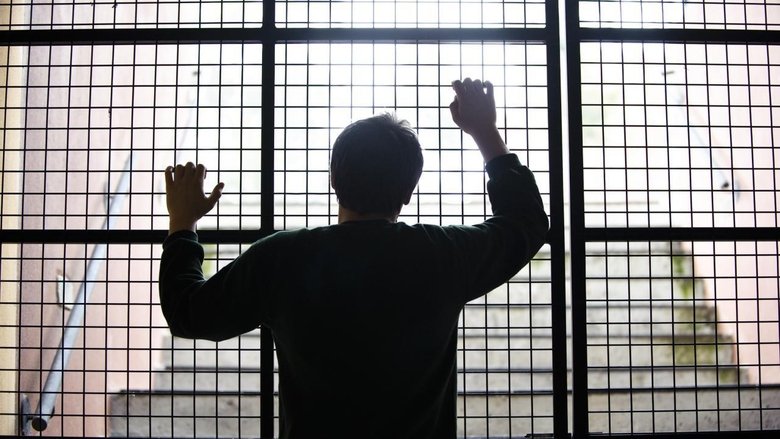 кадр из фильма The Wilding